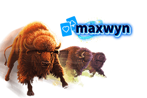 maxwyn-banner2